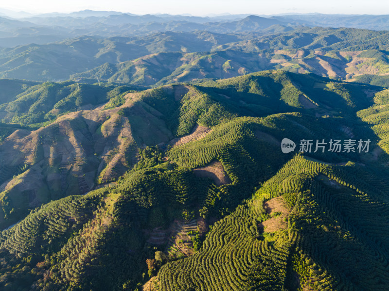 航拍层峦叠嶂的绿色山脉自然景观