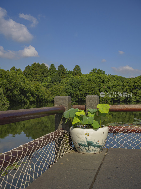 浙江省杭州市西湖景区