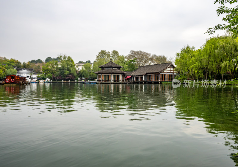 杭州西湖茅家埠黛色参天自然风景景观