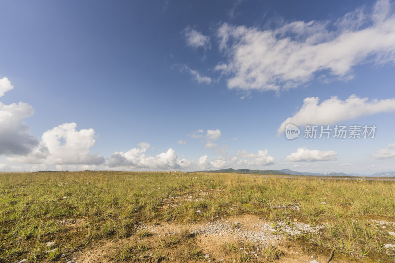 开阔草地蓝天白云的自然风景