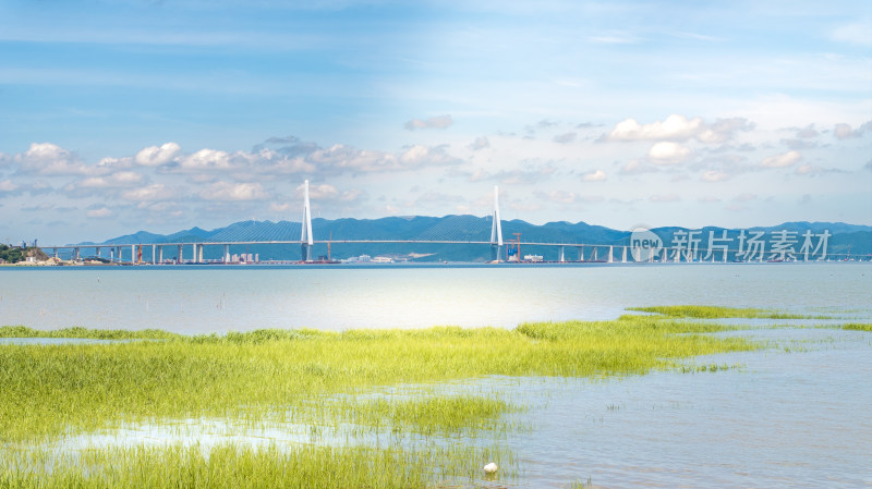 浙江宁波象山蓝天跨海桥梁草地