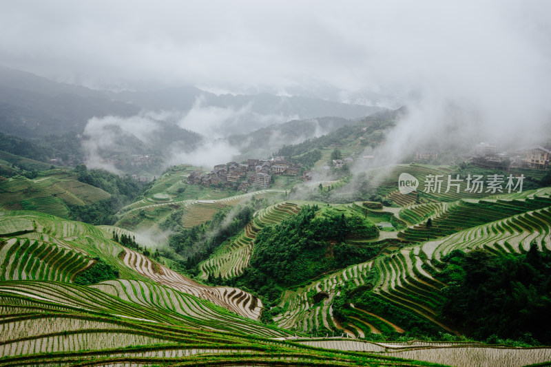 抹茶绿的桂林龙脊梯田