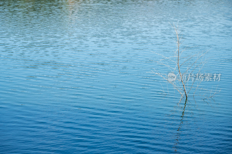 宁静的湖面水面