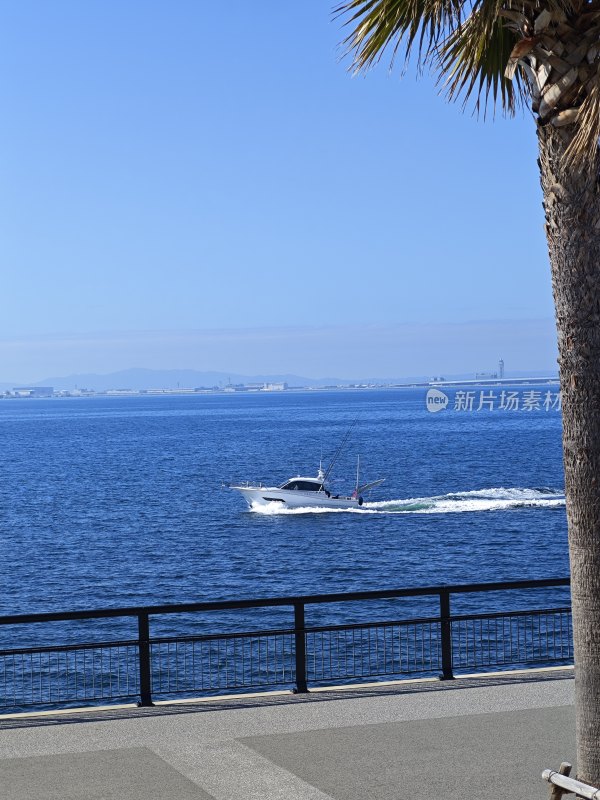 日本大阪海边步道上看到的海面快艇行驶景象