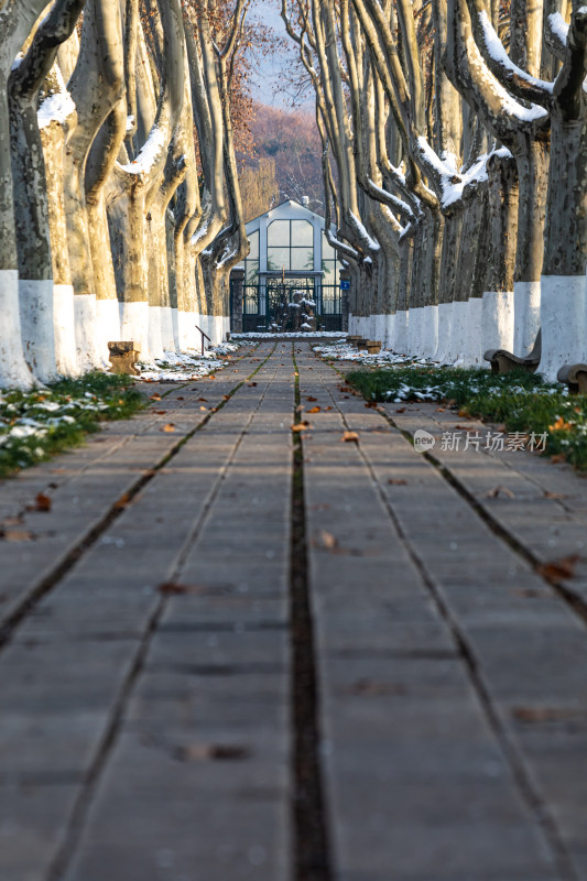 南京明孝陵石象路神道雪景