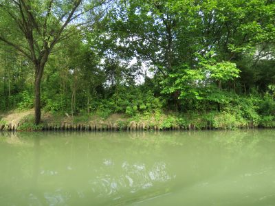 杭州西溪湿地旅游风景