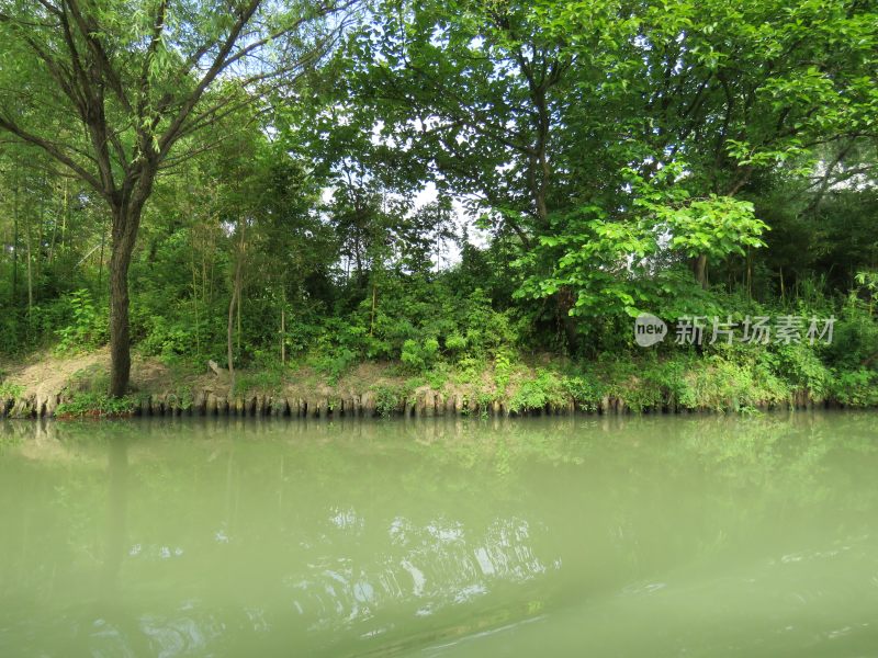 杭州西溪湿地旅游风景