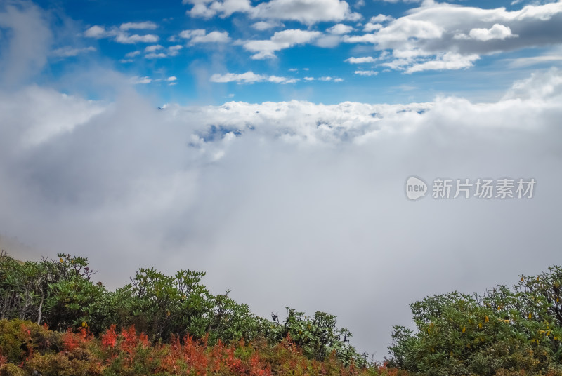 山顶上的高山云景