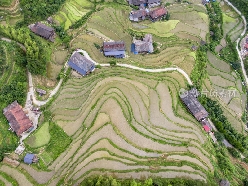 高山梯田农田农业种植航拍