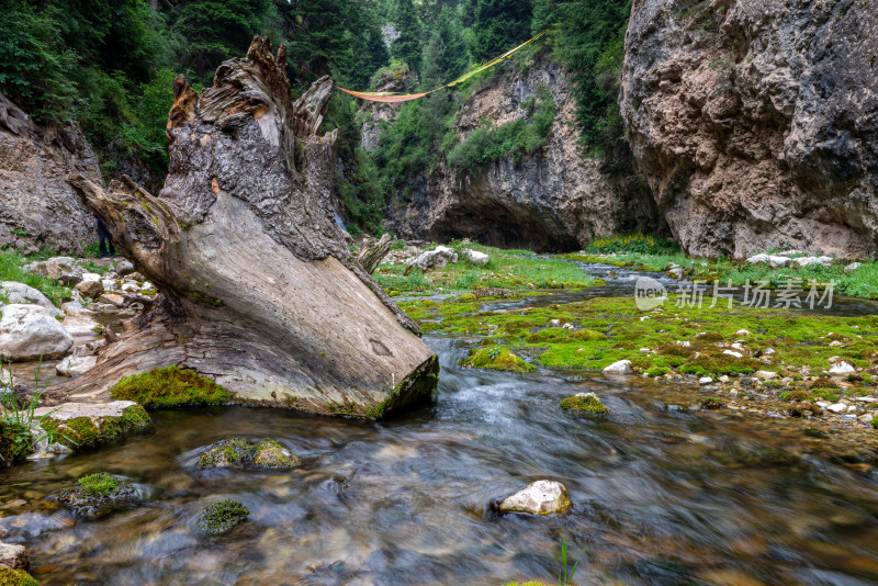 小溪水流