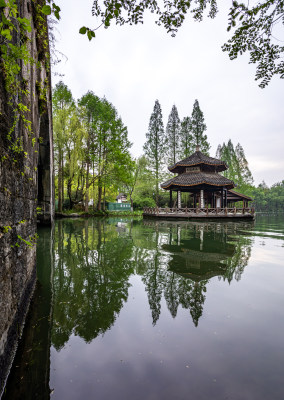 杭州西湖茅家埠黛色参天自然风景景观