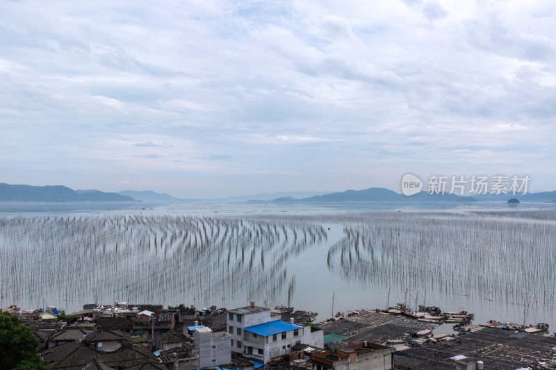 霞浦的渔村和竹竿渔排