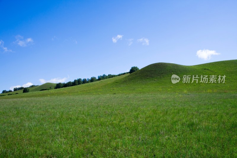 内蒙,坝上,乌兰木统,乌兰木统草原,红山,军马场,草原,草地,