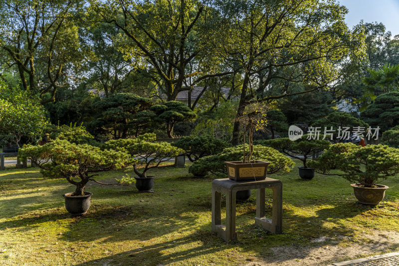 杭州西子湖畔杭州花圃风景