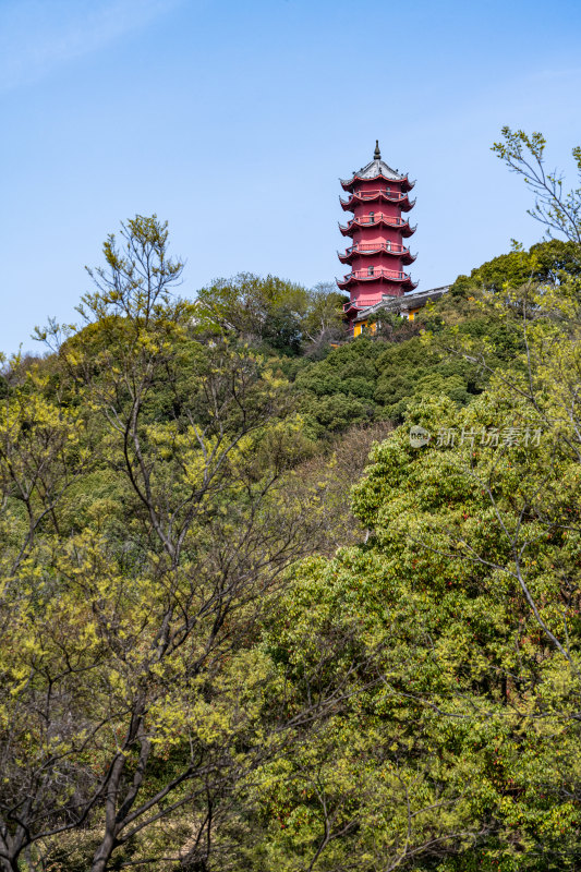 早春的无锡惠山古镇景点景观