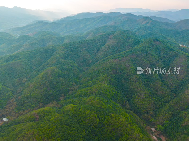 航拍山脉山林