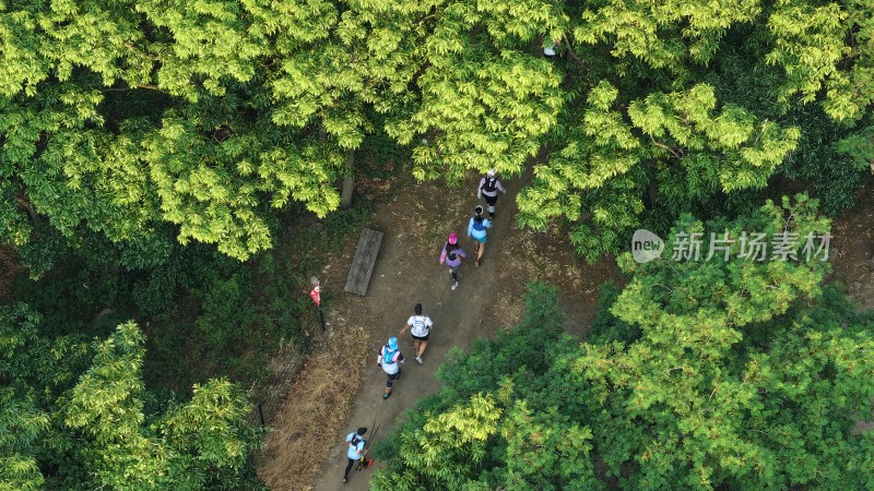 俯瞰威海100超级越野赛运动员穿行山野丛林