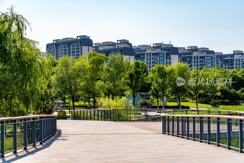 济南华山湿地公园华山湖自然景观