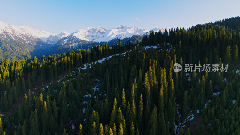 航拍草原雪山森林自然风光