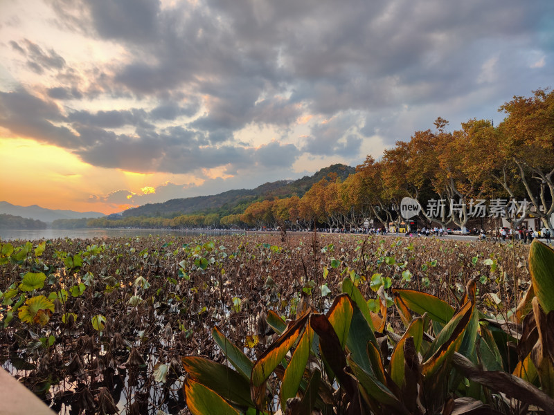 杭州西湖断桥湖畔黄昏夕阳下的景色