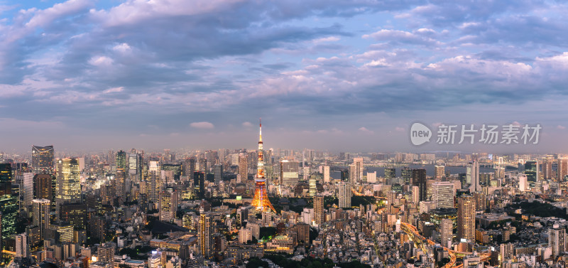 日本东京六本木之丘俯瞰东京市全景