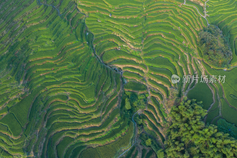 云和梯田景区风光航拍