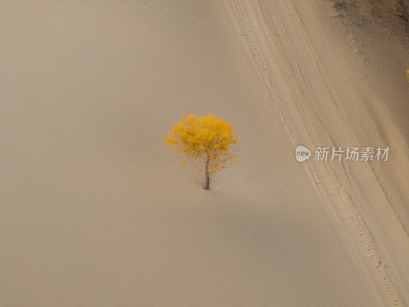 新疆南疆巴州塔克拉玛干沙漠沙丘航拍