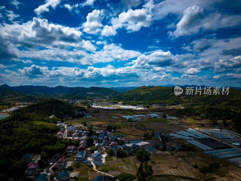 美丽乡村田园农业种植秋收航拍摄影图