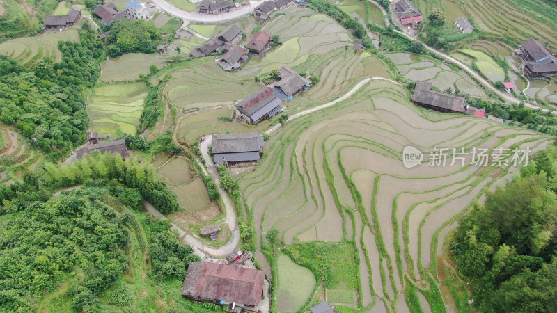 航拍农业种植梯田风光