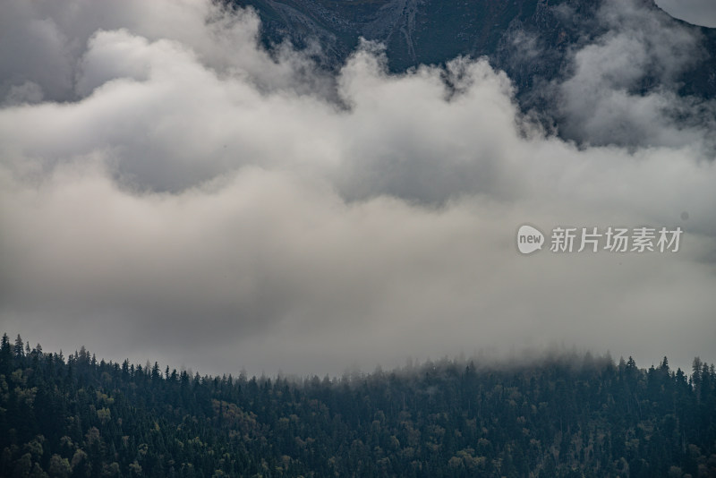 云雾中的森林山峰虎头山