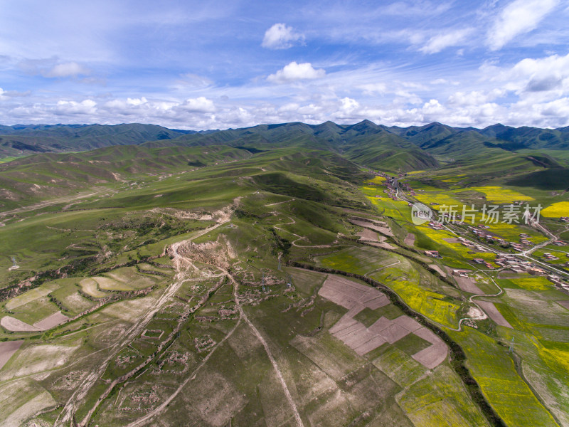 藏地乡村民居油菜花航拍全景图