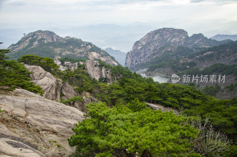 黄山松崖绝壁 奇松怪石 峰峦叠嶂