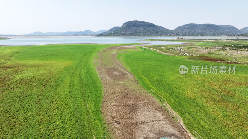 山东枣庄周村水库湿地草原风光