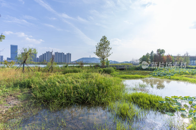 武汉江夏中央大公园风景