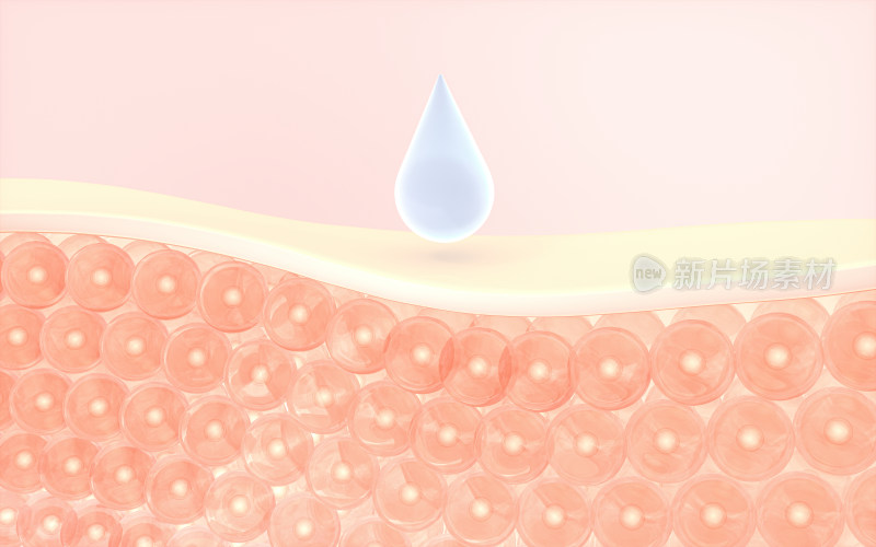 皮肤细胞与吸收的液滴 3D渲染