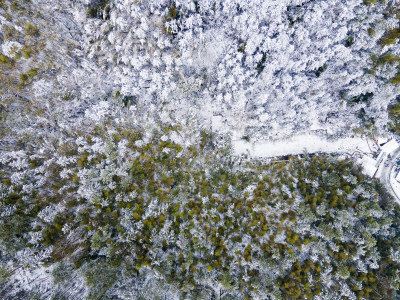 森林冬天雪景航拍摄影图