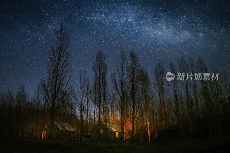 树林中的小屋夜景 璀璨星空下的宁静