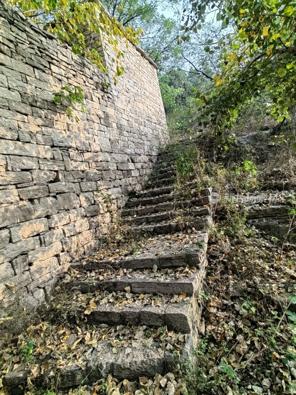 石砌台阶搭配绿植的自然景观