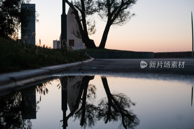 日落时分树木在积水处形成倒影的景象