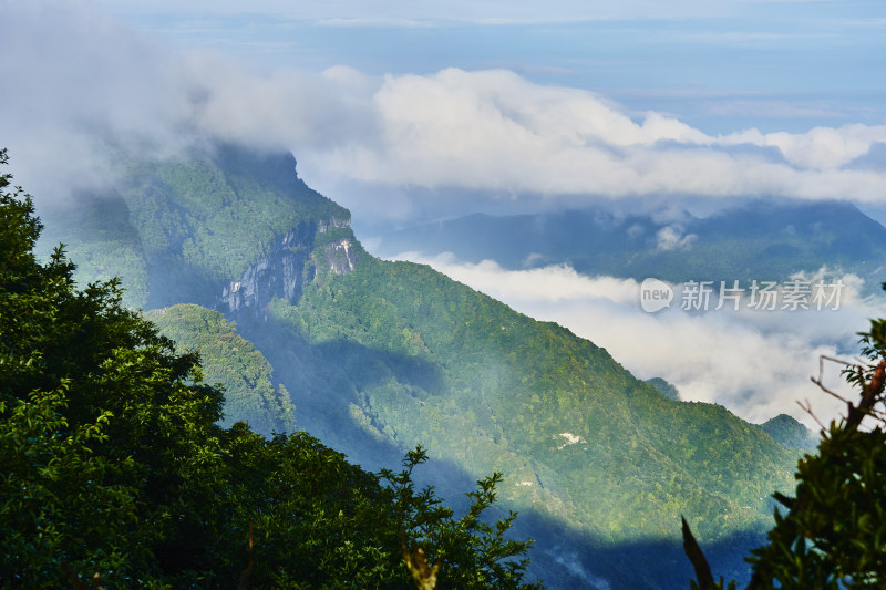 云雾缭绕的金佛山