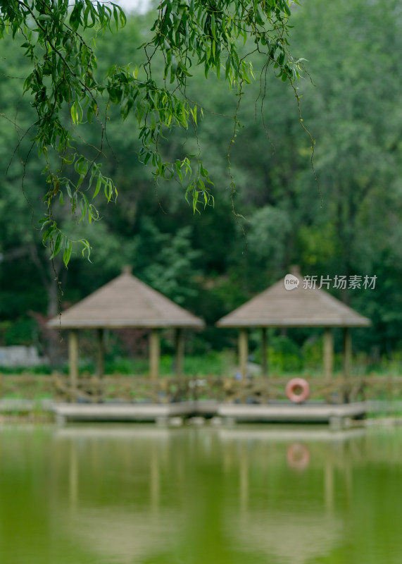 淄博人民公园湖心亭