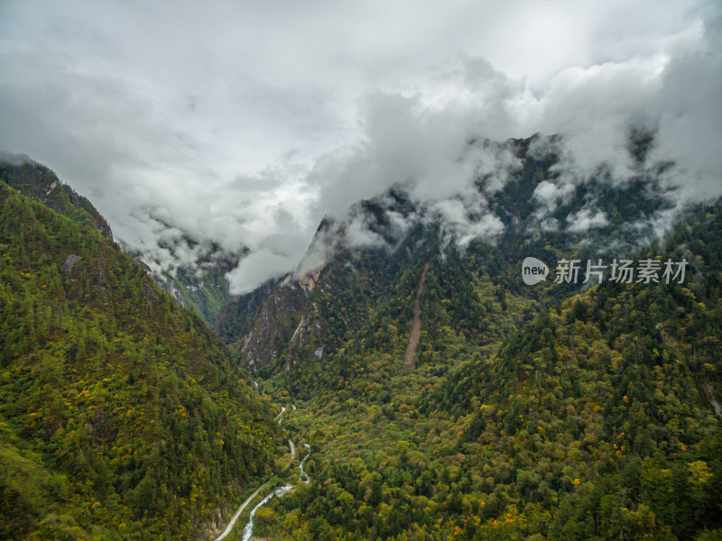 秋天树林云雾山峰