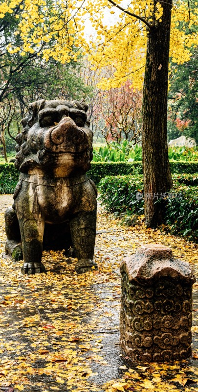 秋日石象景观小道雨中明孝陵