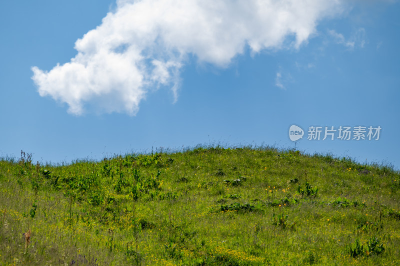 新疆伊犁，那拉提草原风光