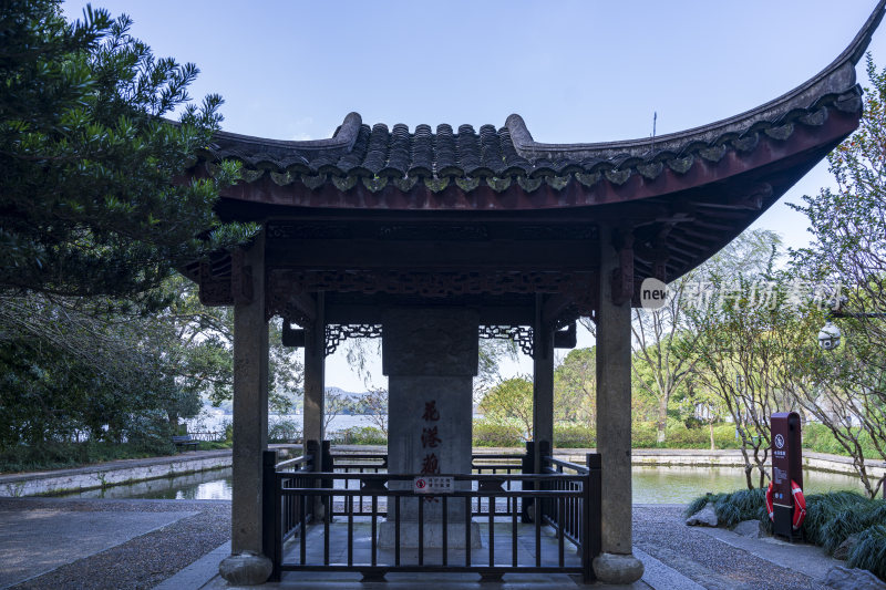 杭州西湖花港观鱼风景