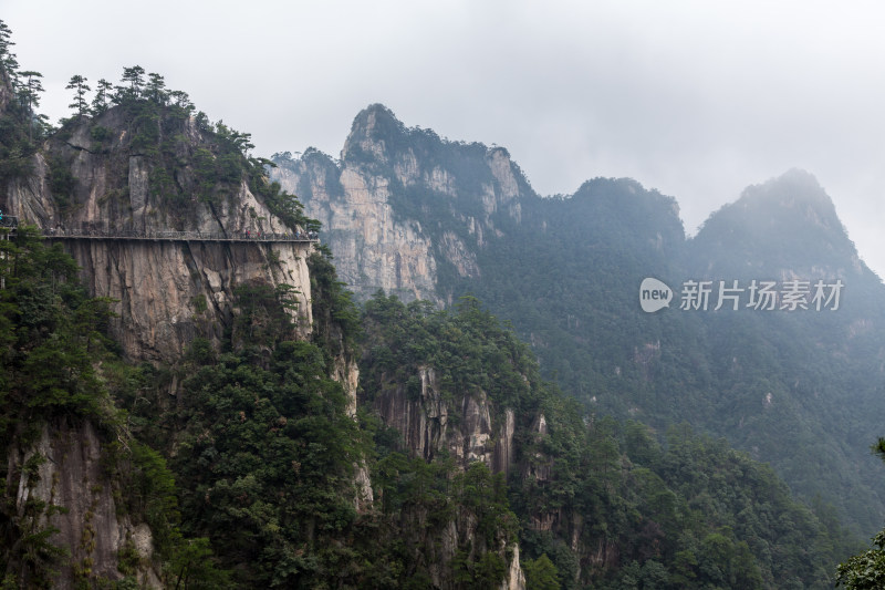 云海中的大明山