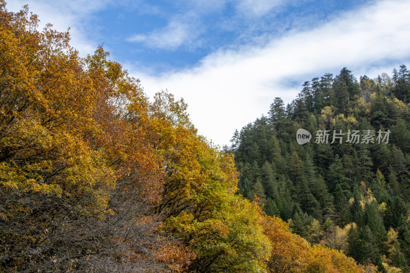 九寨沟秋色，蓝天下彩林层林尽染