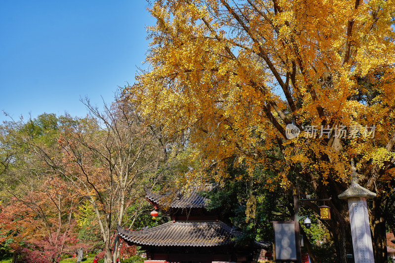 南京栖霞山栖霞寺秋色