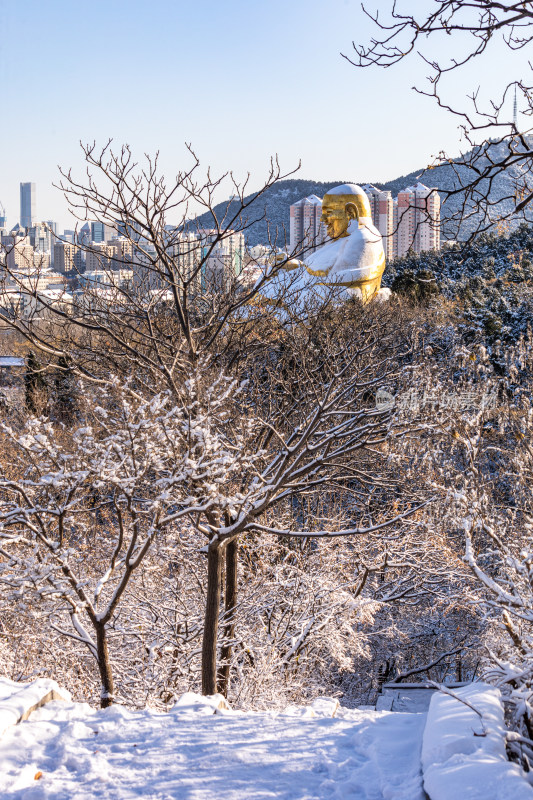 济南千佛山冬日雪景景观