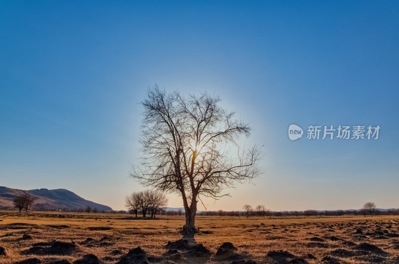 内蒙古呼伦贝尔额尔古纳湿地公园日落夕阳